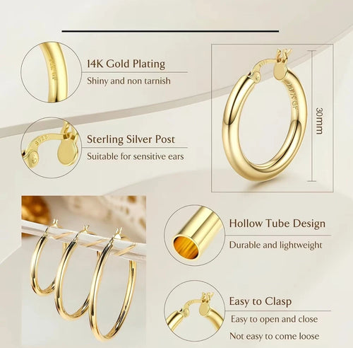 Aisor AureLoop Gold Hoops