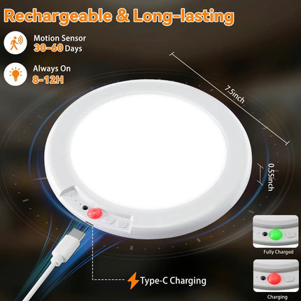 GlowSense Ceiling Light