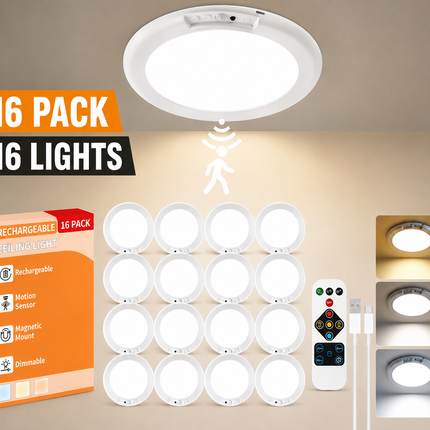 GlowSense Ceiling Light