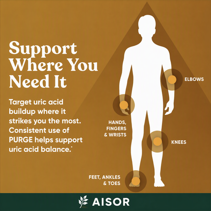 An informational graphic with a white human silhouette on a brown background, labeled with body areas such as elbows, hands/fingers/wrists, knees, and feet/ankles/toes for uric acid buildup support. Large text reads 'Support Where You Need It,' with smaller explanatory copy and the AISOR brand at the bottom.